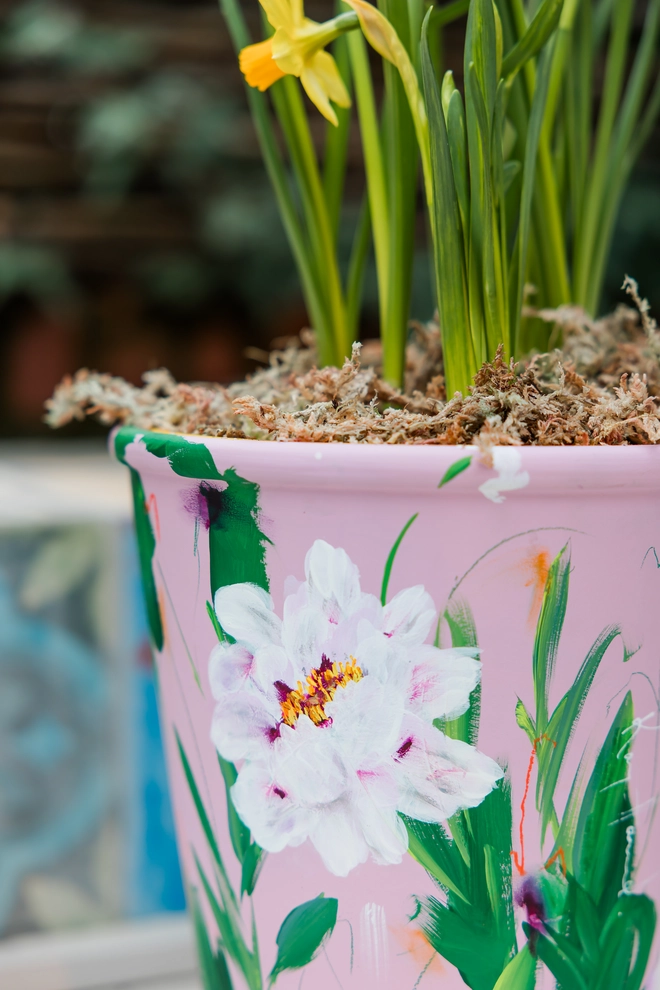 Unique hand-painted terracotta pot featuring pink tree peony on a pale pink background