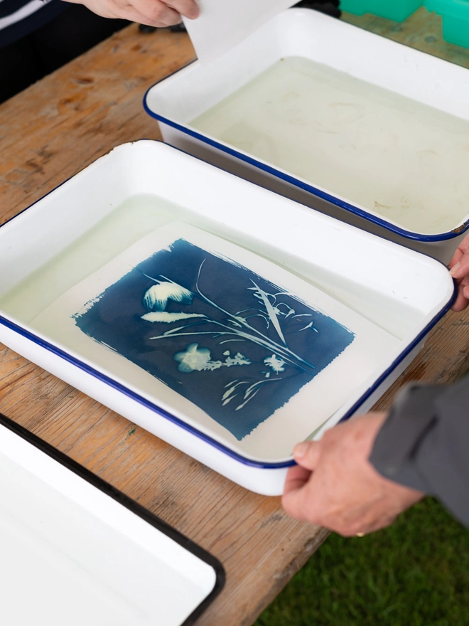 A4 Cyanotype Paper to Create Beautiful Prints With Sunlight