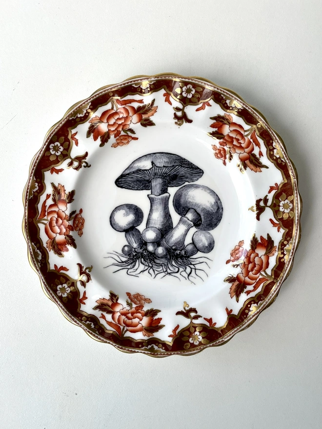 vintage plate with an ornate border, with a printed vintage illustration of mushrooms in the middle