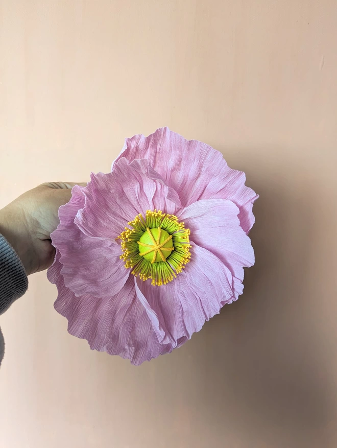 Small purple/pink poppy (385)