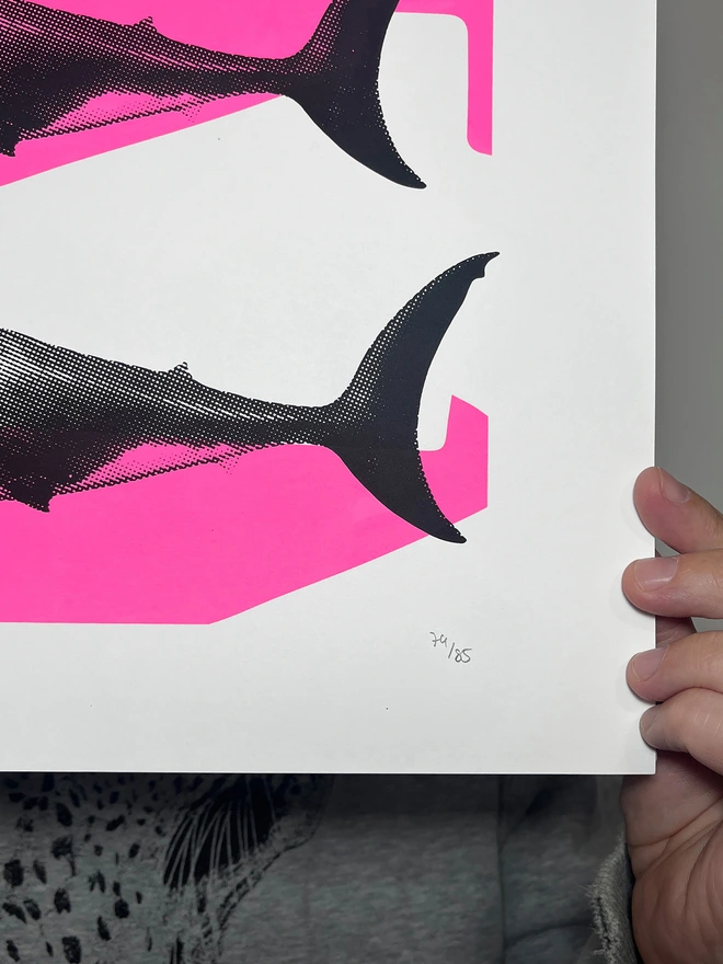 Shark Tank (Pink and Black) - Screen Printed Shark Poster - hand numbered limited edition