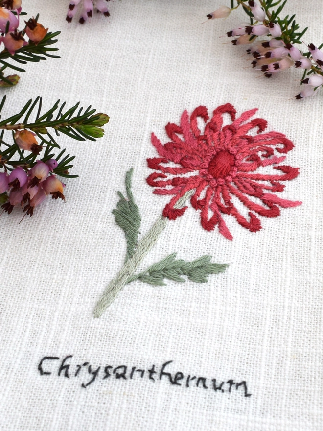 Floral Botanical embroidery kit of a red Chrysanthemum a symbol for November and 13th wedding anniversary.  Meaning Abundance and loveliness, Cheerfulness, Happiness, Joy and Beauty.