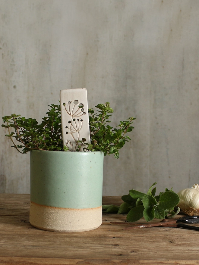 Plant marker in mint green plant pot with plant and herbs on table