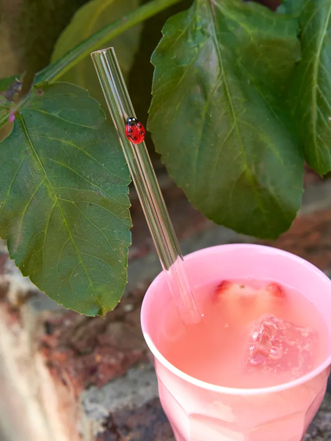 Ladybird reusable drinking straw