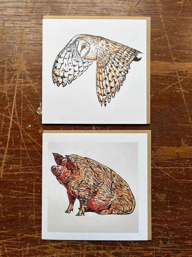 barn owl and pig art cards