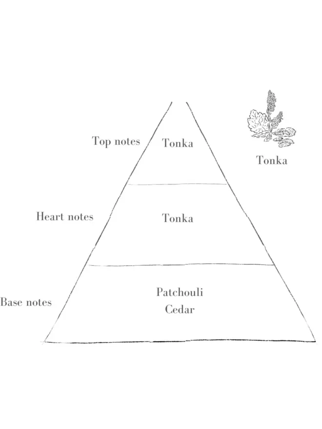 The Tonka Scent In Standard Heather Pott