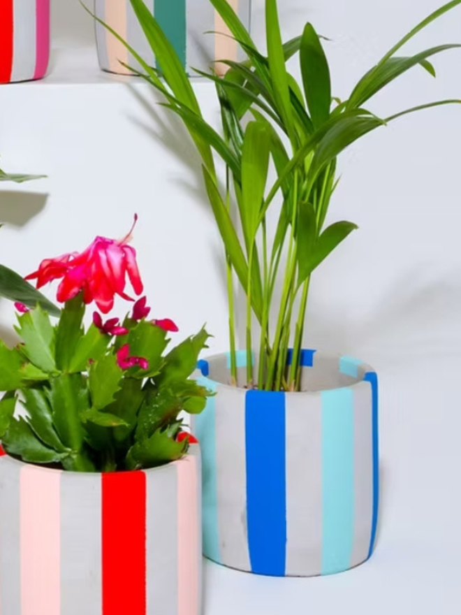 coloured stripes concrete plant pot. a grey plant pot decorated with light and dark blue stripes.