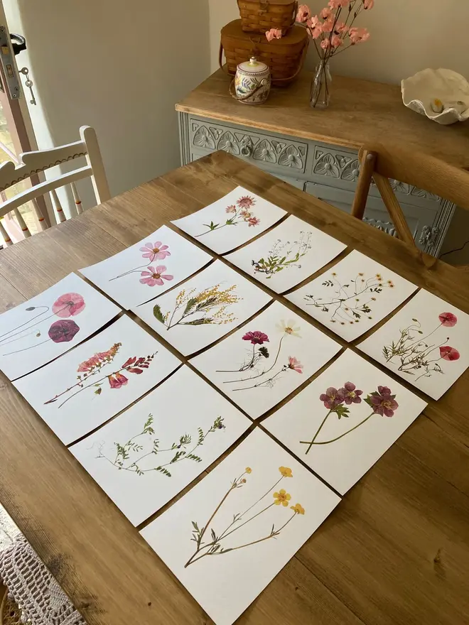 Pressed Wildflower Herbarium Print Collection (Set Of 12), a collection of flowery prints sitting on a wooden surface. 