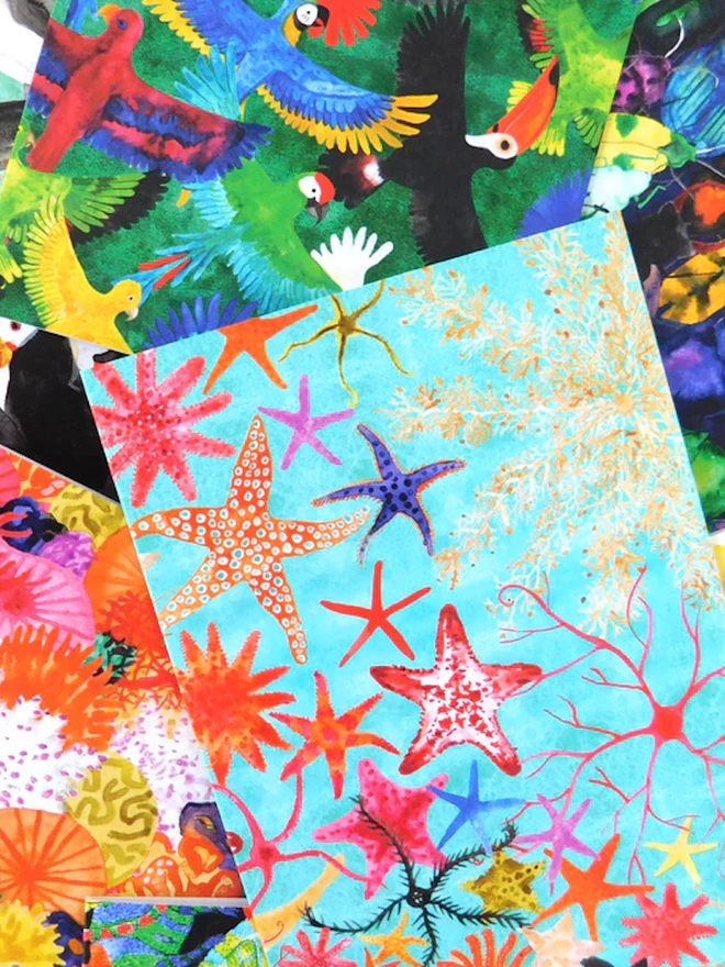 Asterozoa Starfish Greetings Card