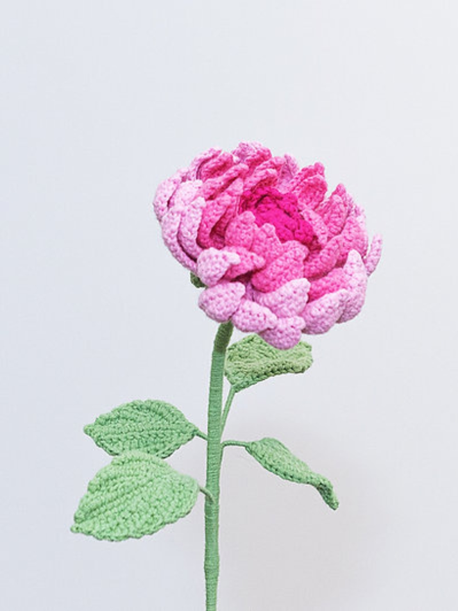 pink crochet dahlia flower stems