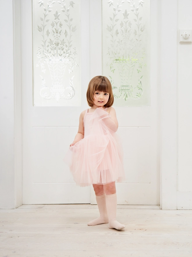 pink dress tutu tulle ballet