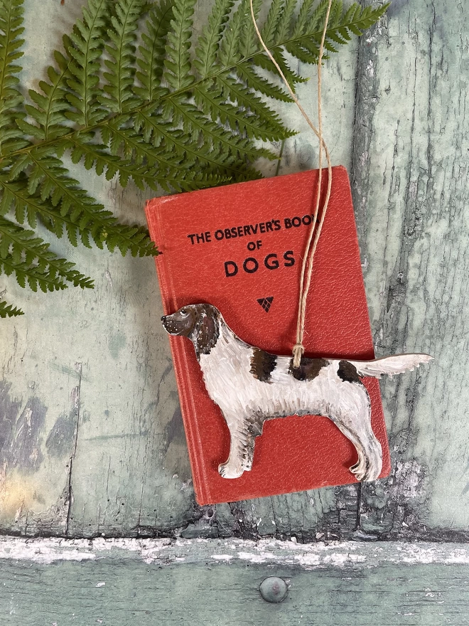 A memory decoration placed on a red Observer's Book of Dogs 