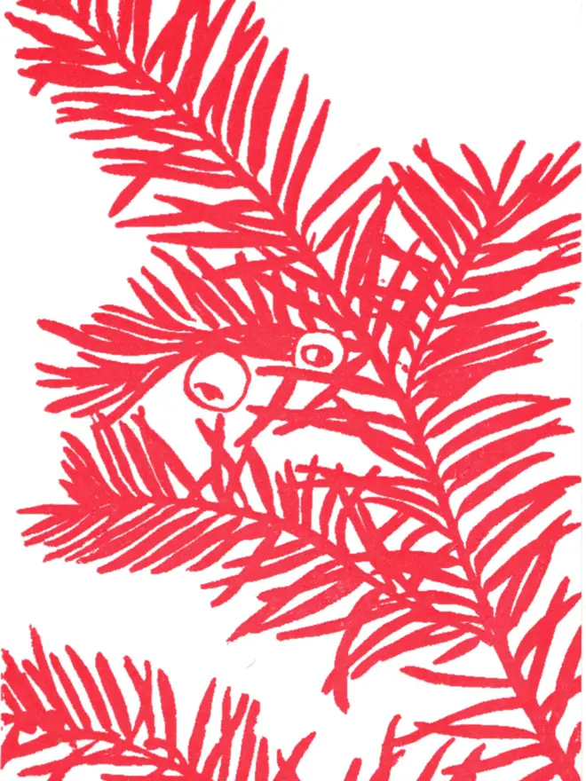 Close up of design on front of card. Monochrome red flat shaded artwork of yew tree branch with visible spines and berries/seeds