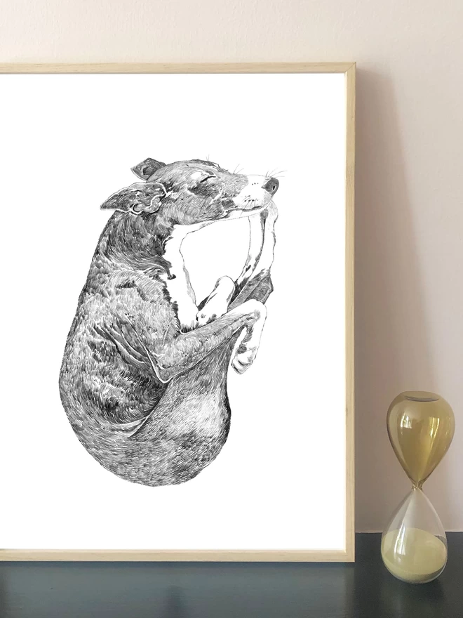 Art print of a hand drawn portrait of a sleeping whippet displayed in a frame 