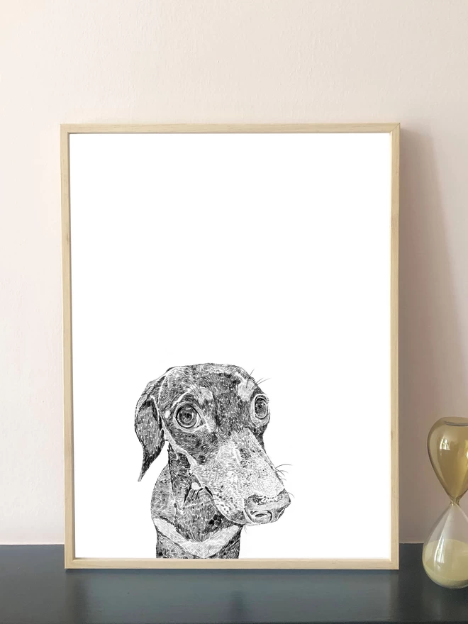 Art print of a hand drawn portrait of a dachshund displayed in a frame