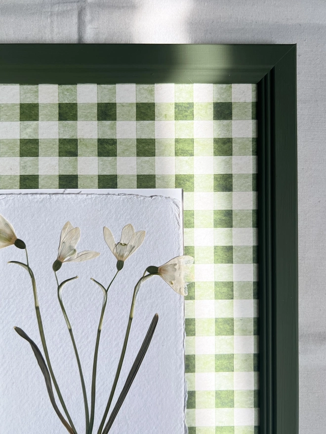 close up of pressed snowdrop flowers in a printed gingham mount top right corner