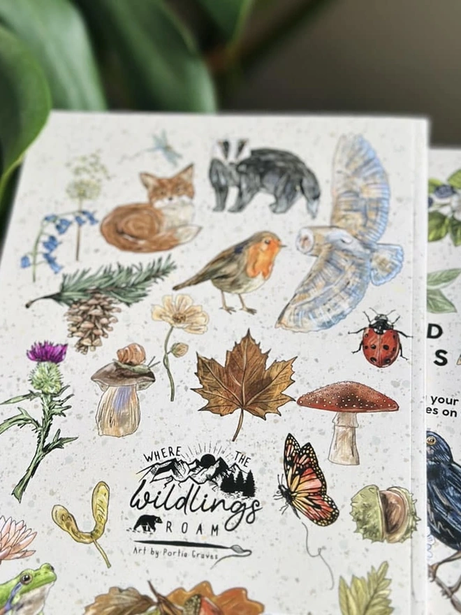 British Hedgerow Field Notes Journal, a stack of field notes journals sitting in a room. 