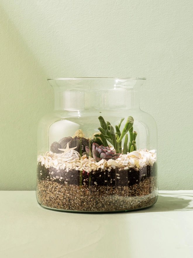 Seascape Terrarium Kit - Small