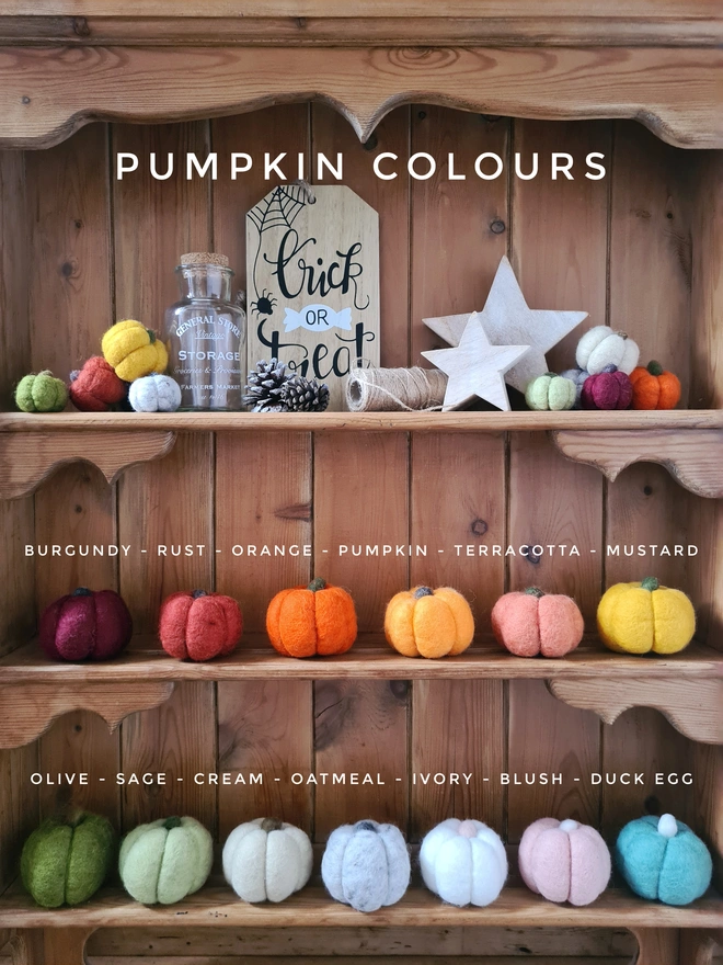 Felt Pumpkin Patch Decoration