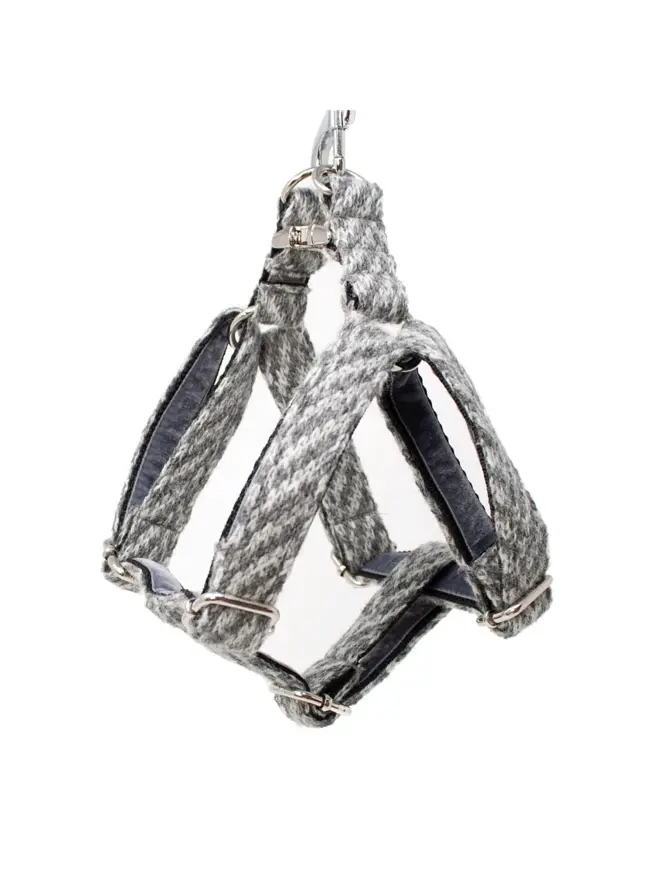 grey dog harness hanging on white background