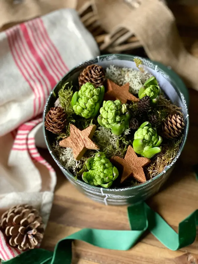 A green patterned hat box packed with fragrant hyacinth bulbs, decorated with miniature pine cones and wooden winter stars. 