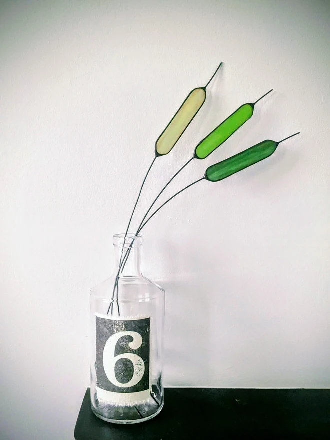 Green bulrush grasses