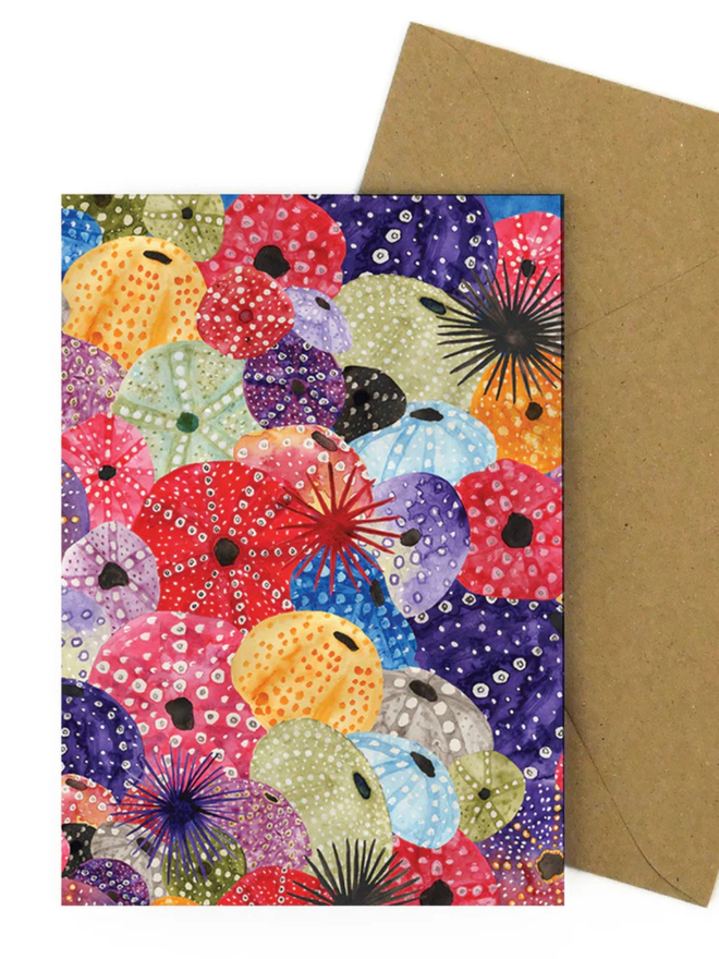 illustrated sea urchin pattern greetings card