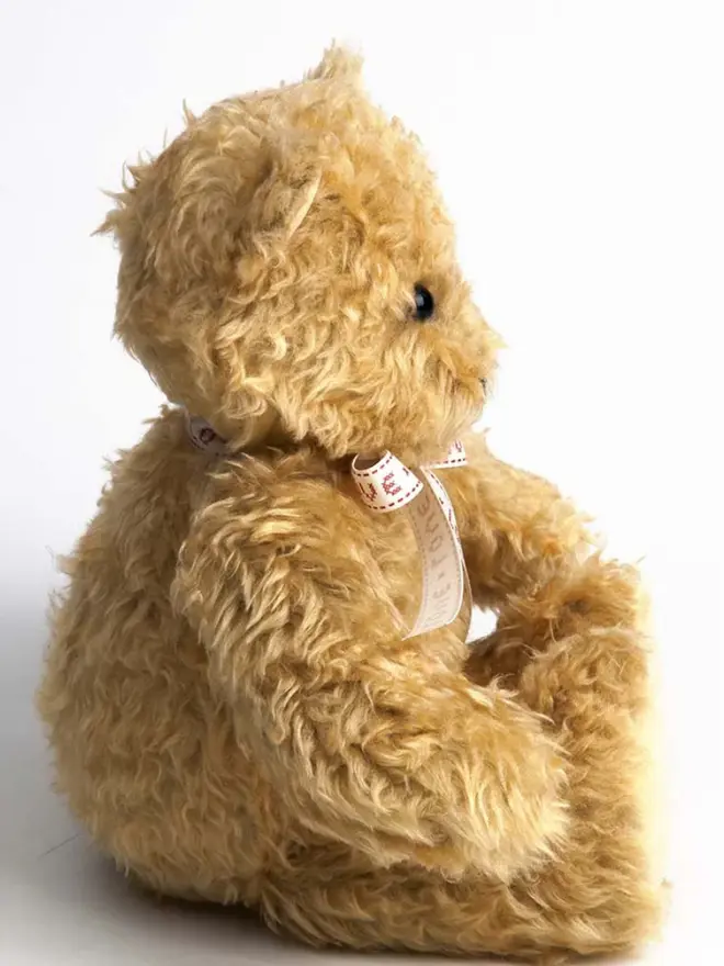 Brown teddy bear sitting upright wearing a pink bow against a white background. 