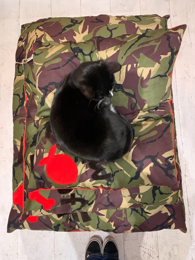 Pussidon sitting on a pilow of camo pet beds