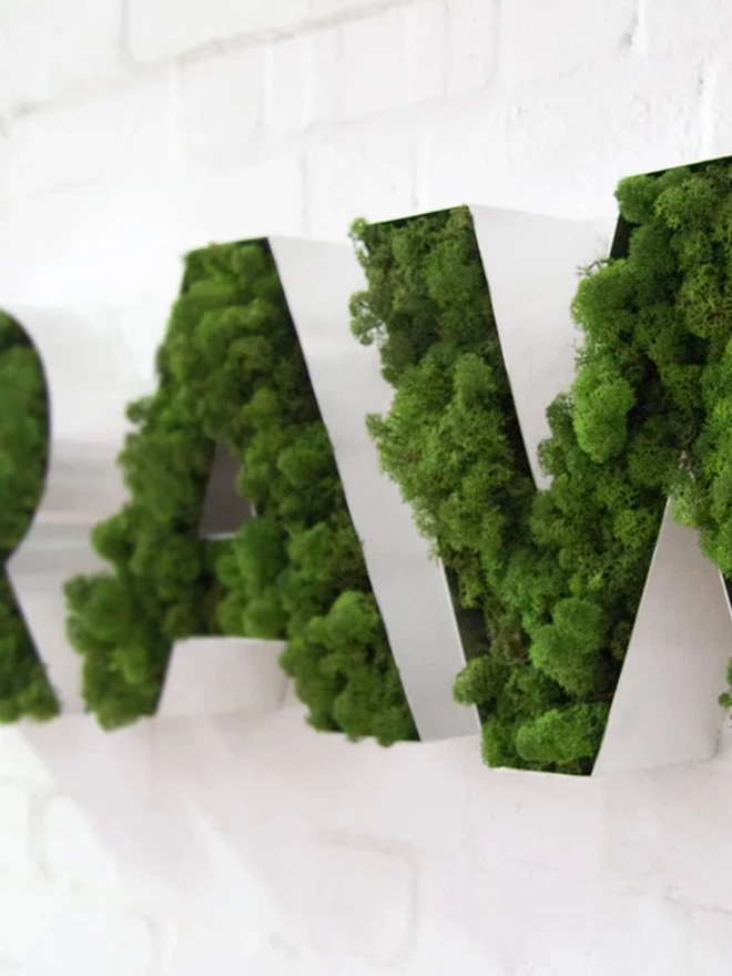 Moss Letters