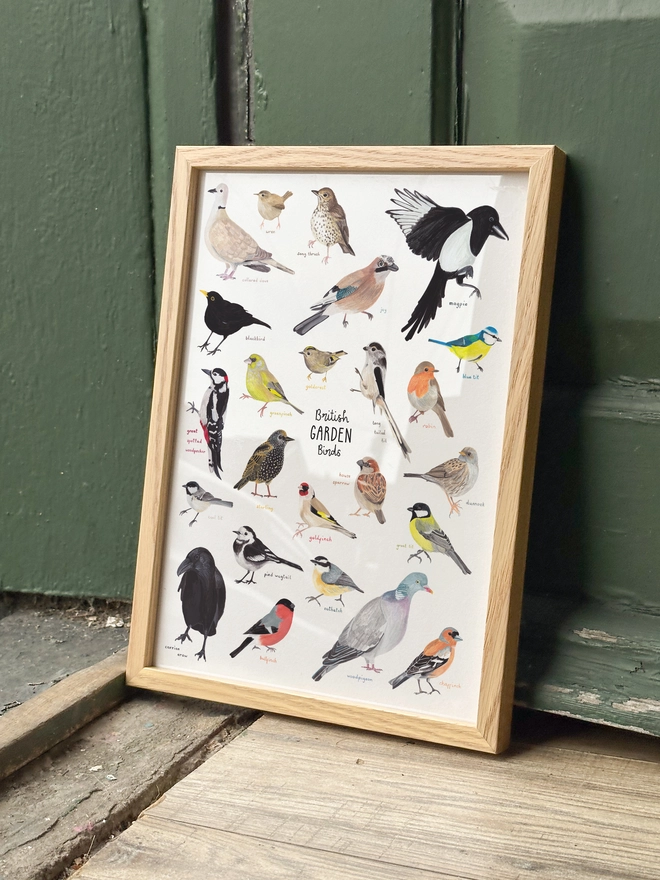 A print featuring illustrations of birds often found in british gardens