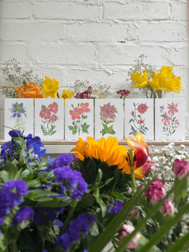 Mini Floral Cards (Pack Of 6)