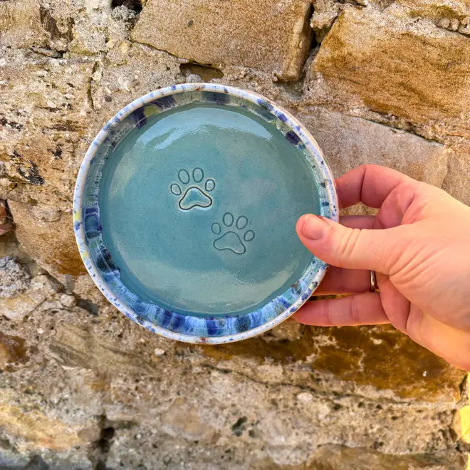 Shoreline Cat Bowl, a colourful cat bowl held against a brick backdrop. 
