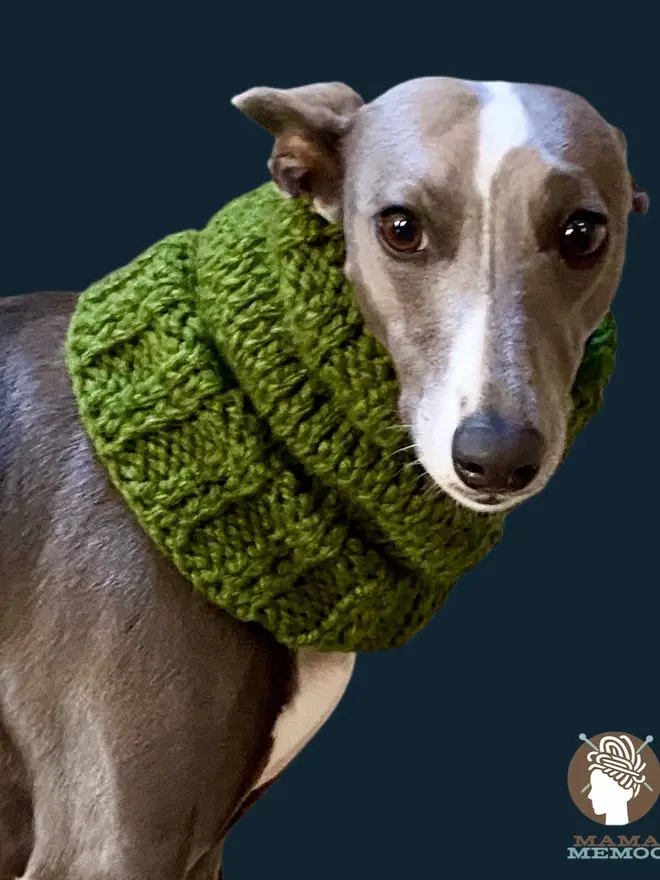 Chunky Knit Pet Snoods