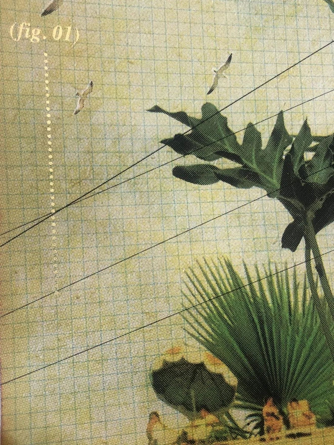 Tropical Swim A3 Edition Screenprint