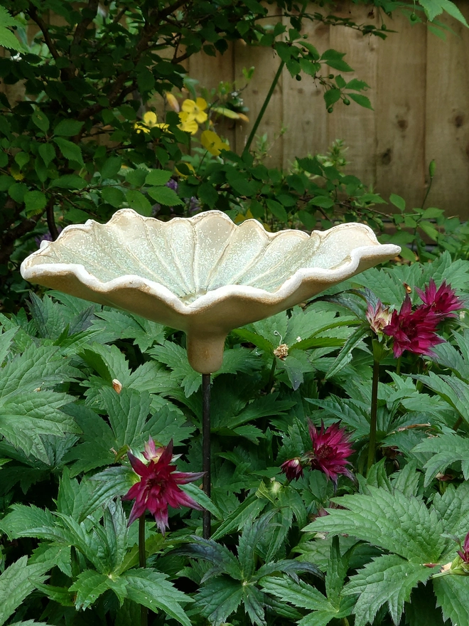 Daisy flower bird bath on brass rod