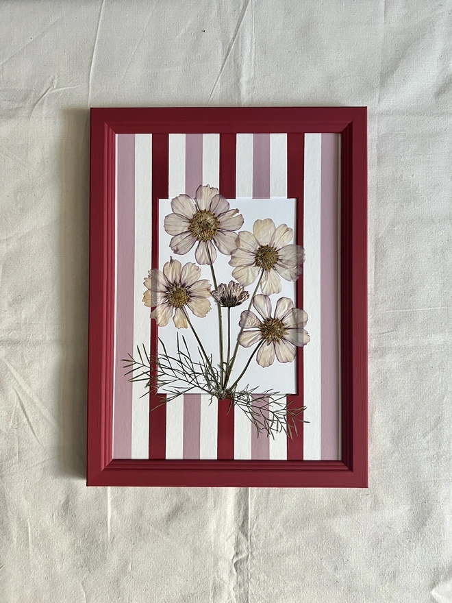 pressed cosmos flowers in hand painted green frame and painted stripe mount