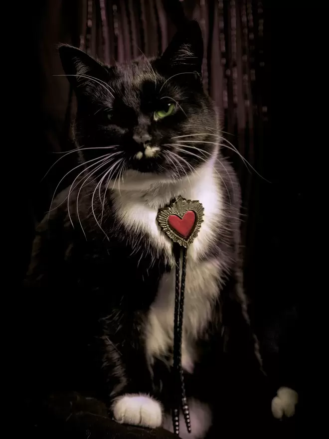 red leather sacred heart bolo tie, modelled by black & white cat