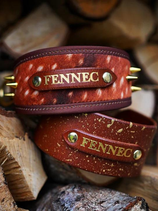 Personalised dog collar