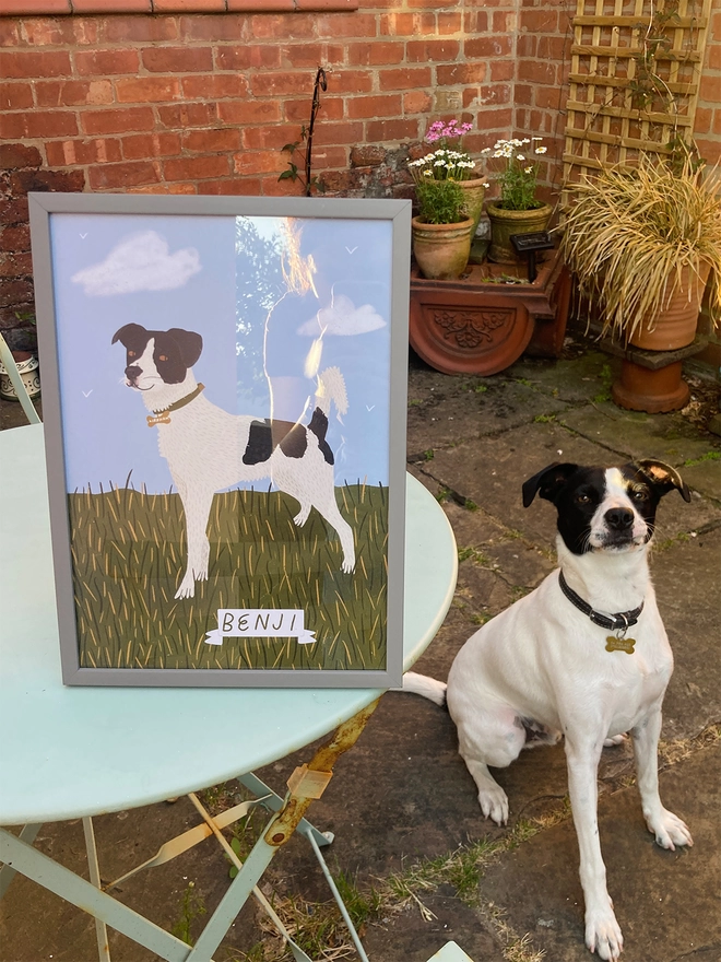 Image of border collie dog sat next to a portrait of himself