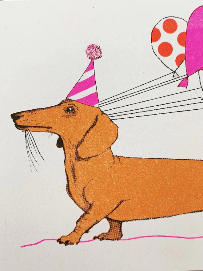 Sausage Dog Greetings Card