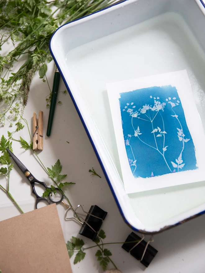 A6 Sunlight Cyanotype Kit To Create Prints At Home 