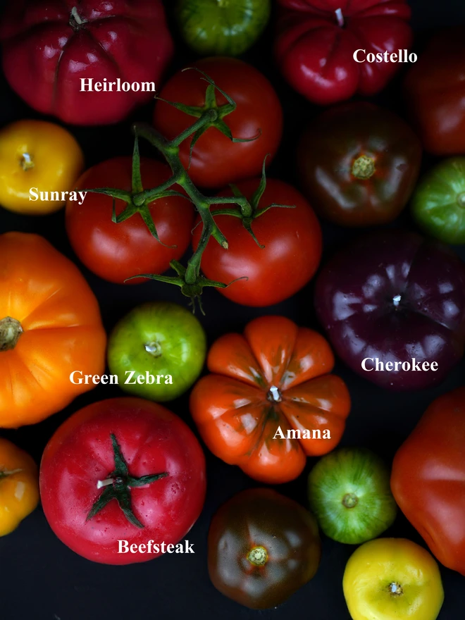 Heirloom Tomato Candles with text