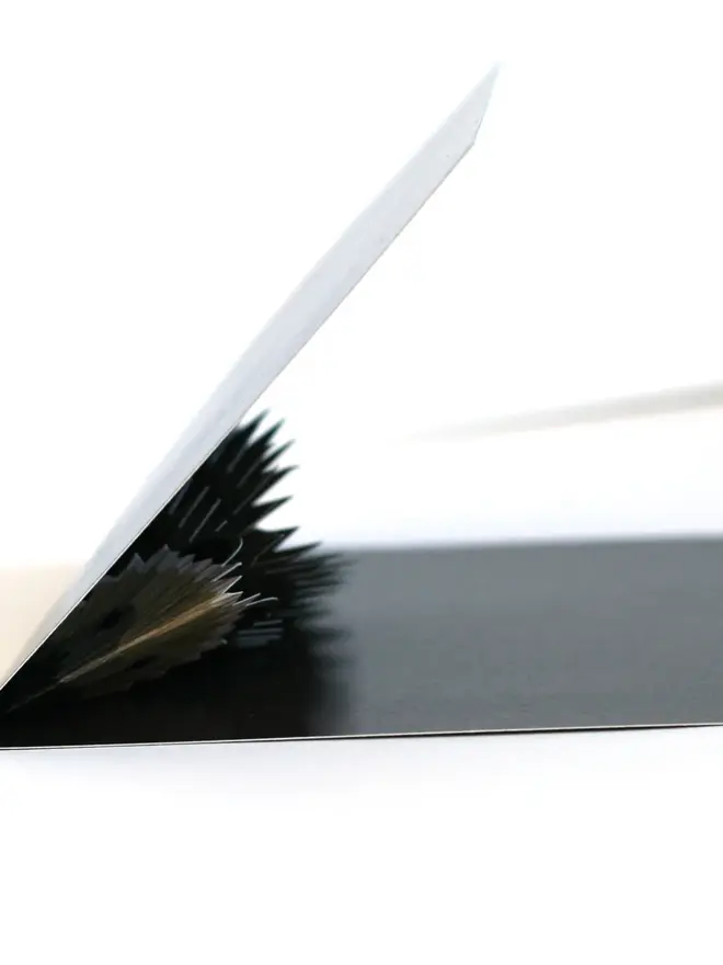 3d hedgehog pop up card
