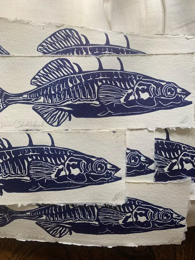 Lino Print Spiked Stickleback Fish On Handmade Paper