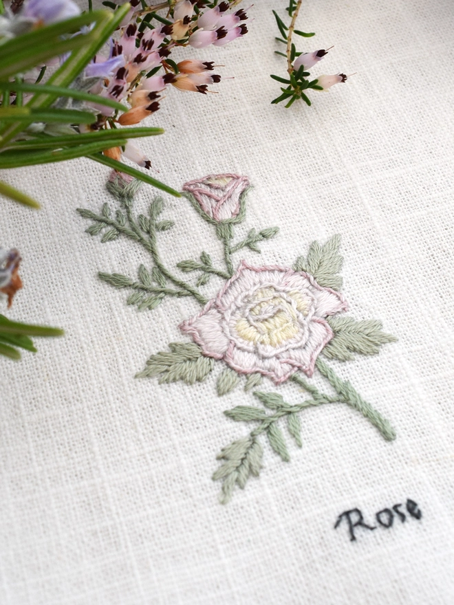 Floral Botanical embroidery kit of a yellow and pink Rose or Rosa a symbol for June and 15th wedding anniversary.  Meaning Messenger of love, Love, Divination, Beauty and Romance.