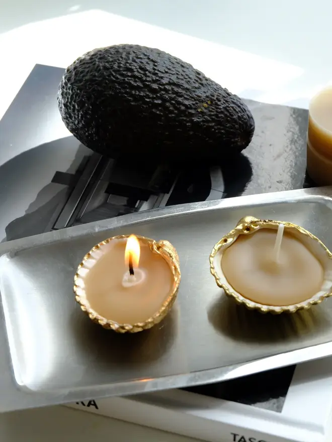 Handcrafted Sea Shell Beeswax Candle Trio 
