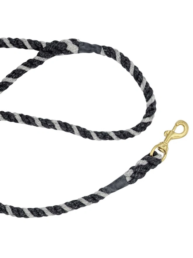 Wool Twist Dog Lead, a wool dog sitting on a white surface.  