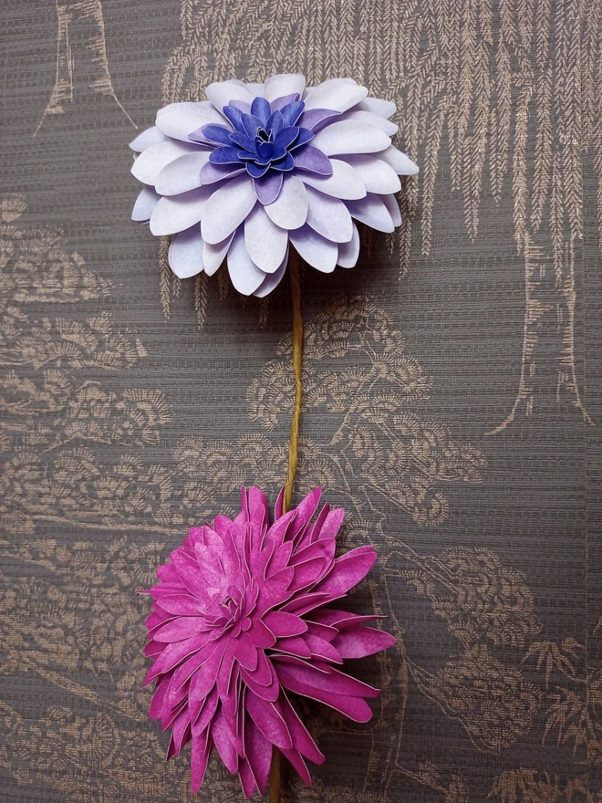 dahlia wall flowers