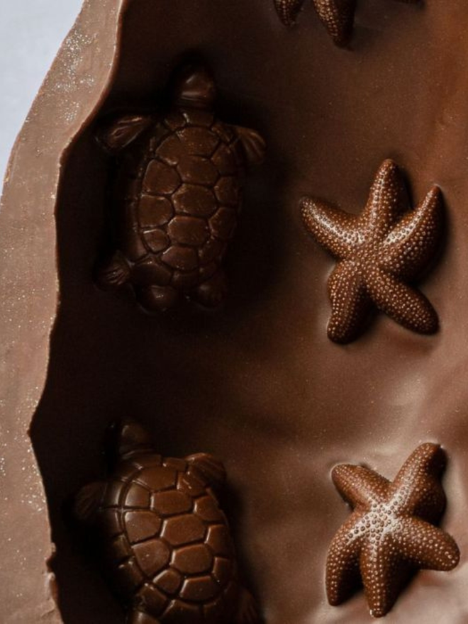 chocolate ocean turtle easter egg